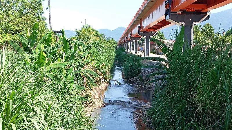 Arroyo